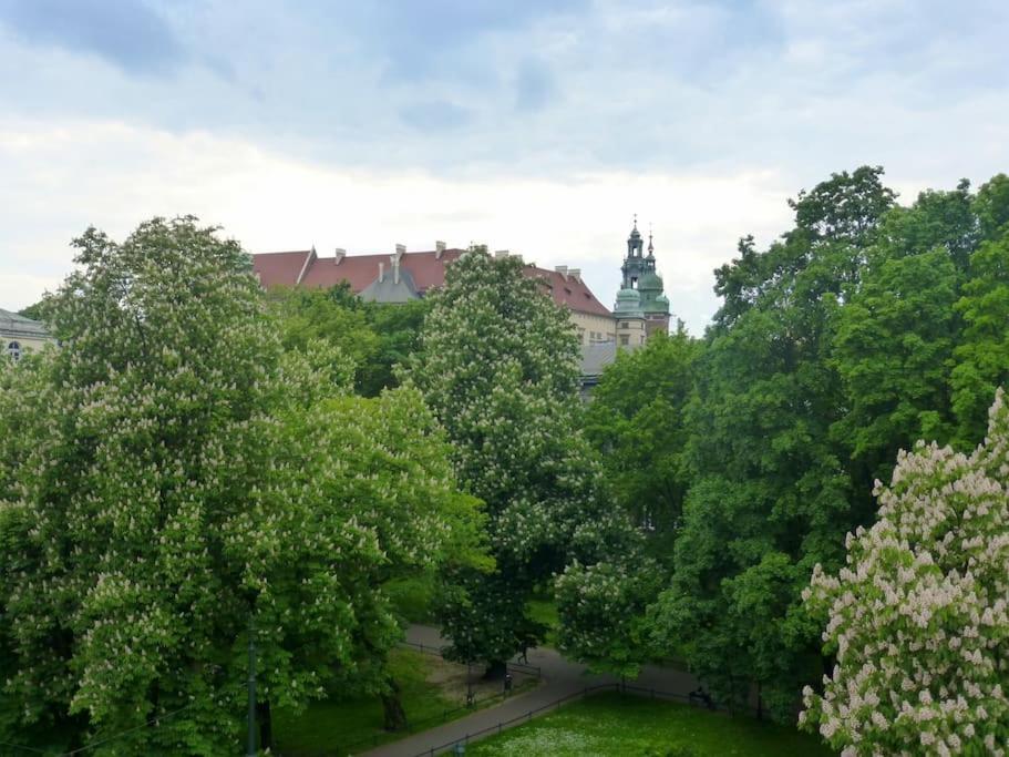 Апартаменти Apartament Gertrudy Belle Краків Номер фото